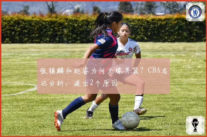 张镇麟和赵睿为何无缘男篮？CBA名记分析，道出2个原因