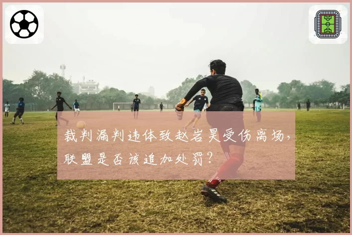 裁判漏判违体致赵岩昊受伤离场，联盟是否该追加处罚？