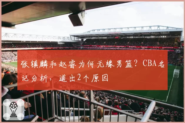 张镇麟和赵睿为何无缘男篮？CBA名记分析，道出2个原因