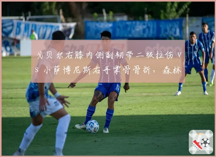 戈贝尔右膝内侧副韧带二级拉伤 vs 小萨博尼斯右手掌骨骨折，森林狼与国王内线回归时间对照
