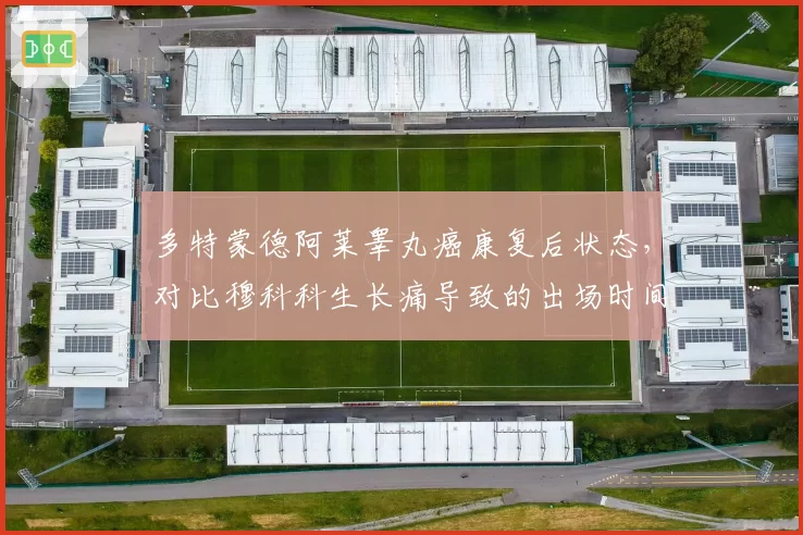 多特蒙德阿莱睾丸癌康复后状态，对比穆科科生长痛导致的出场时间限制