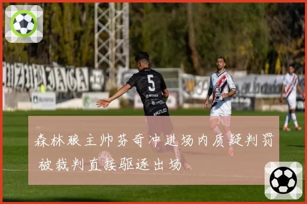 森林狼主帅芬奇冲进场内质疑判罚 被裁判直接驱逐出场